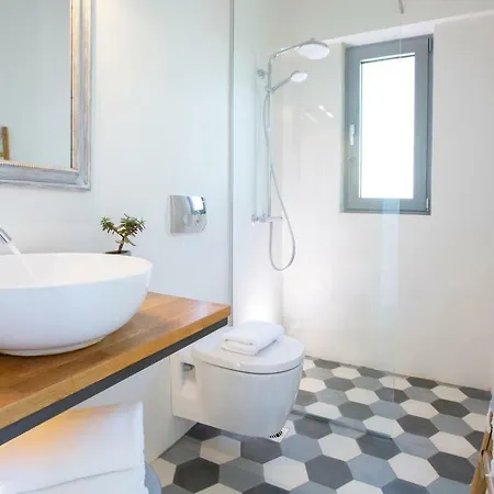 Anemos Luxury Villa *